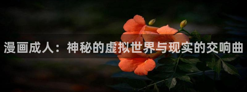 ,虫虫漫画：漫画成人：神秘的虚拟世界与现实的交响曲