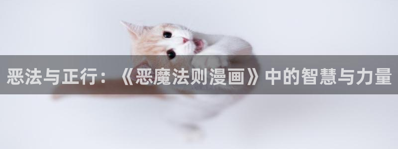 虫虫漫画网页免费入口：恶法与正行：《恶魔法则漫画》中的智慧与力量