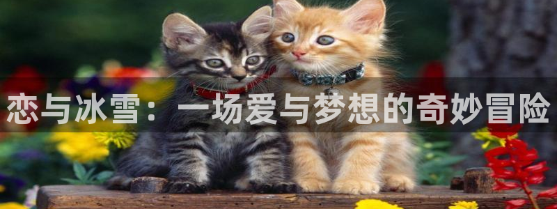 妖精漫画虫虫漫画：恋与冰雪：一场爱与梦想的奇妙冒险